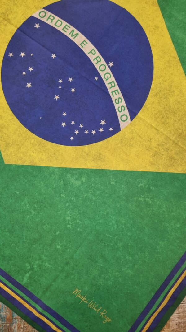 Bandeira do Brasil - Image 2