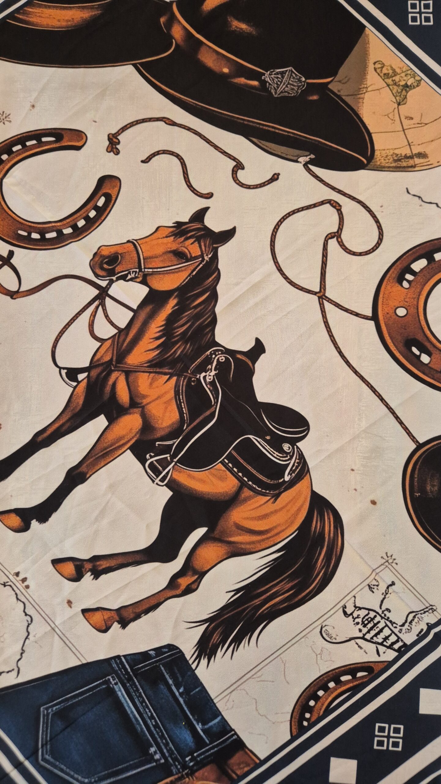 Wild Bronco - Imagem 3