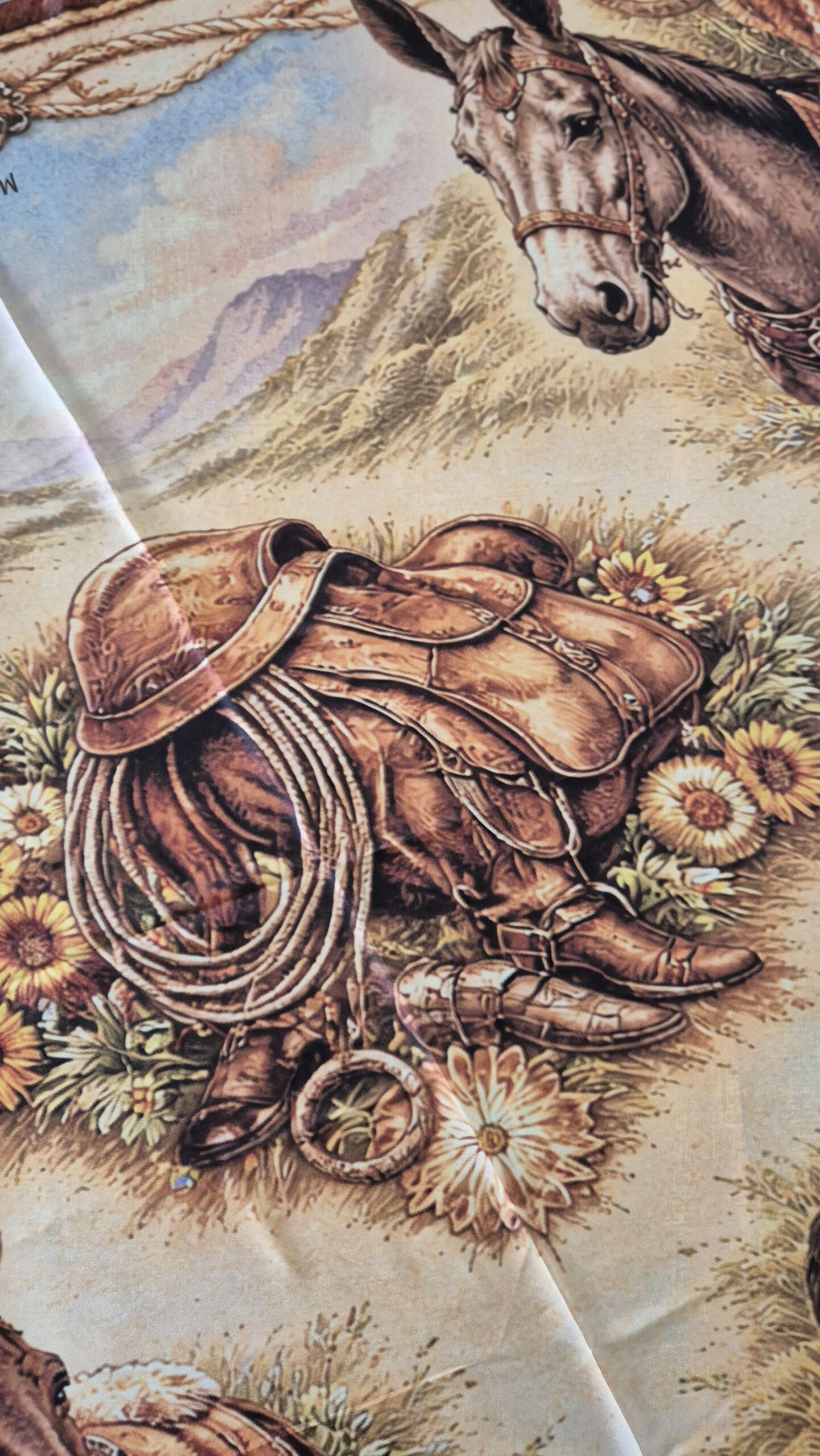 Alma Tropeira - Imagem 5